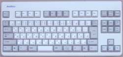 Realforce91 NE0100 L[{[h