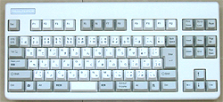 Realforce91U NG0100 L[{[h